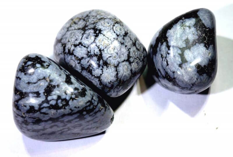three pieces of smooth black stones with white spots