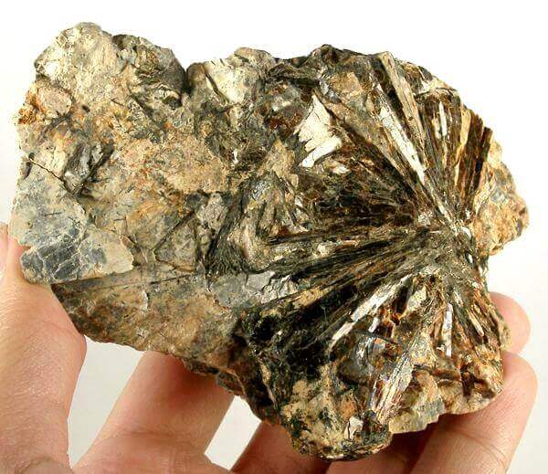 astrophyllite