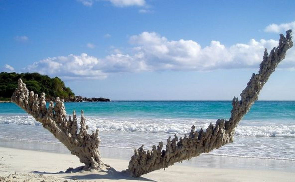 Fulgurite: Complete Guide (2026)