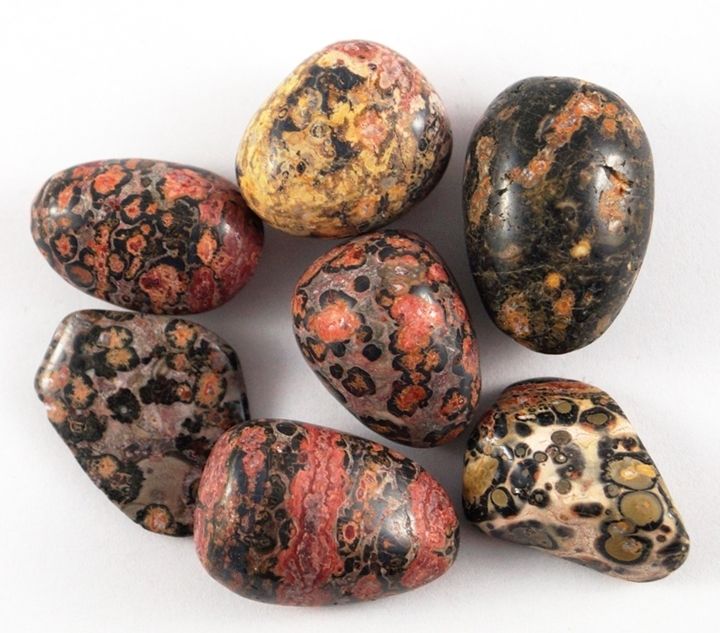 leopard skin jasper stones