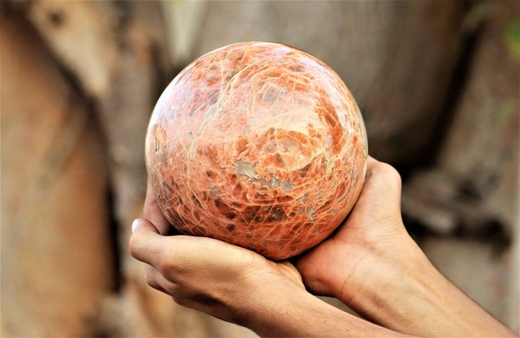 Rosophia: Complete Guide (2026)