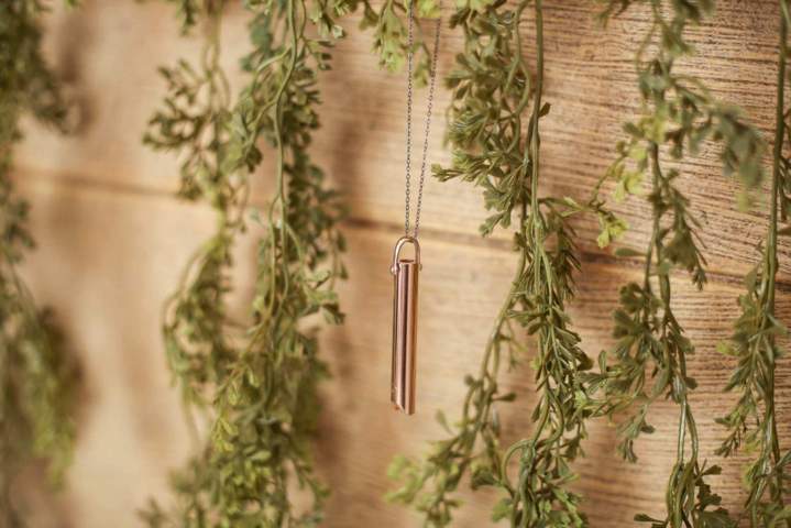 rose gold Komuso Design Shift necklace wooden background surrounded by vines
