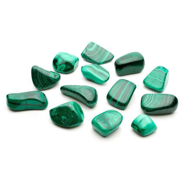 thirteen pieces of polished malachite pebbles on a white backrgound