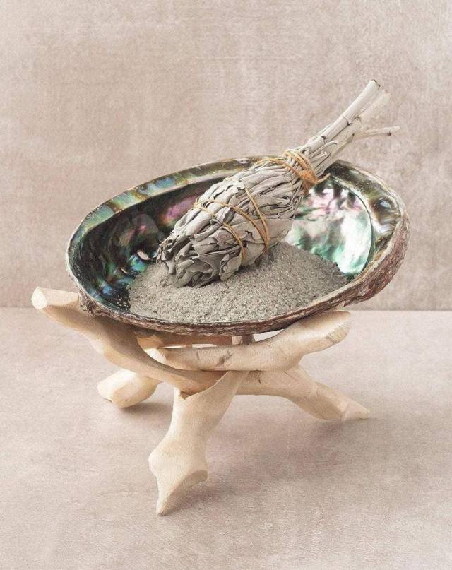 a person holding an abalone shell 